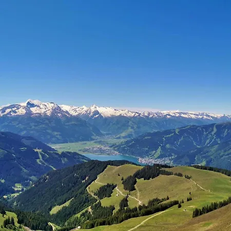 Tauernfex *